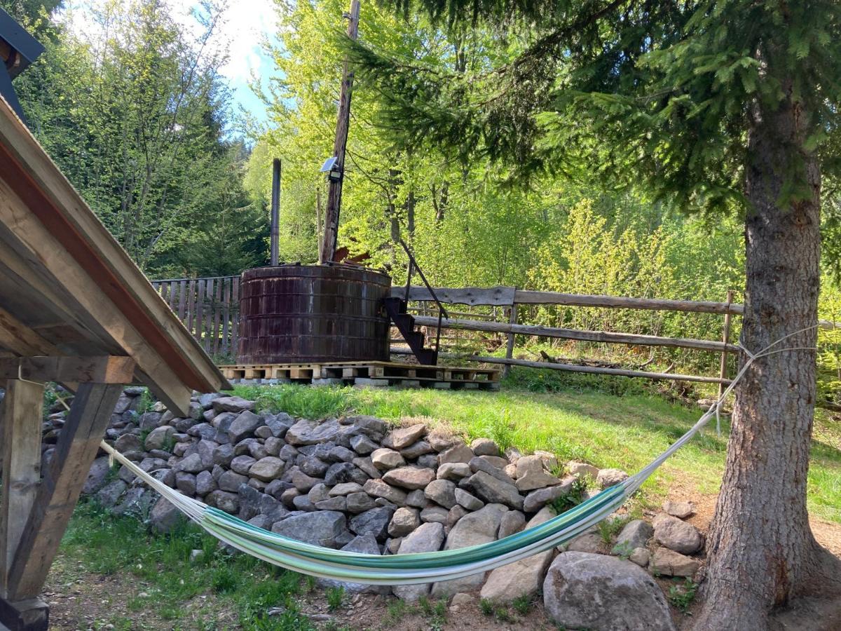 Vén Fenyő Kunyhó Ciceu Exterior foto