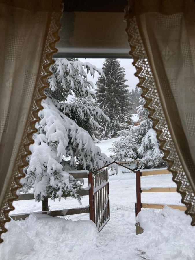 Vén Fenyő Kunyhó Ciceu Exterior foto