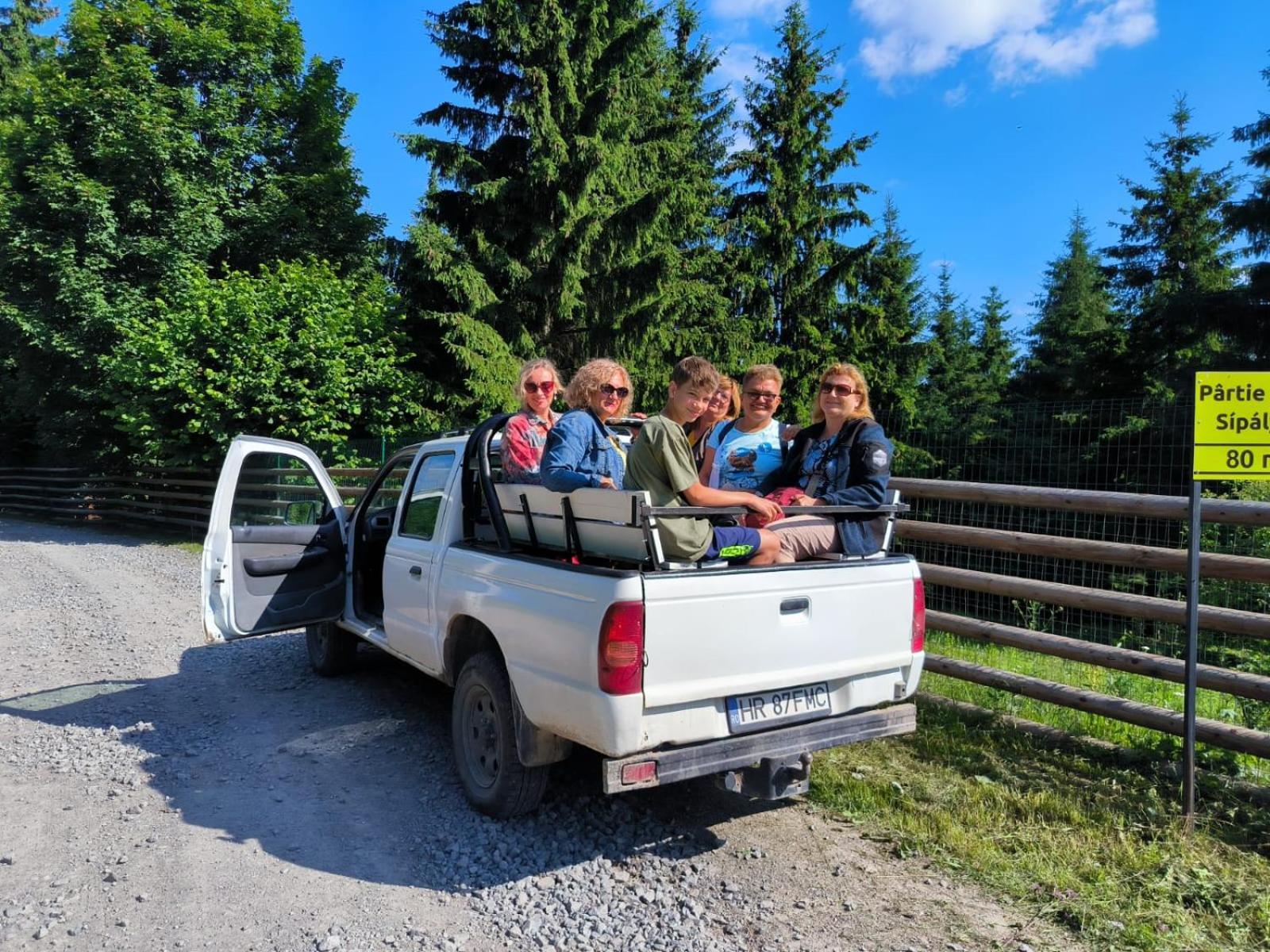 Vén Fenyő Kunyhó Ciceu Exterior foto
