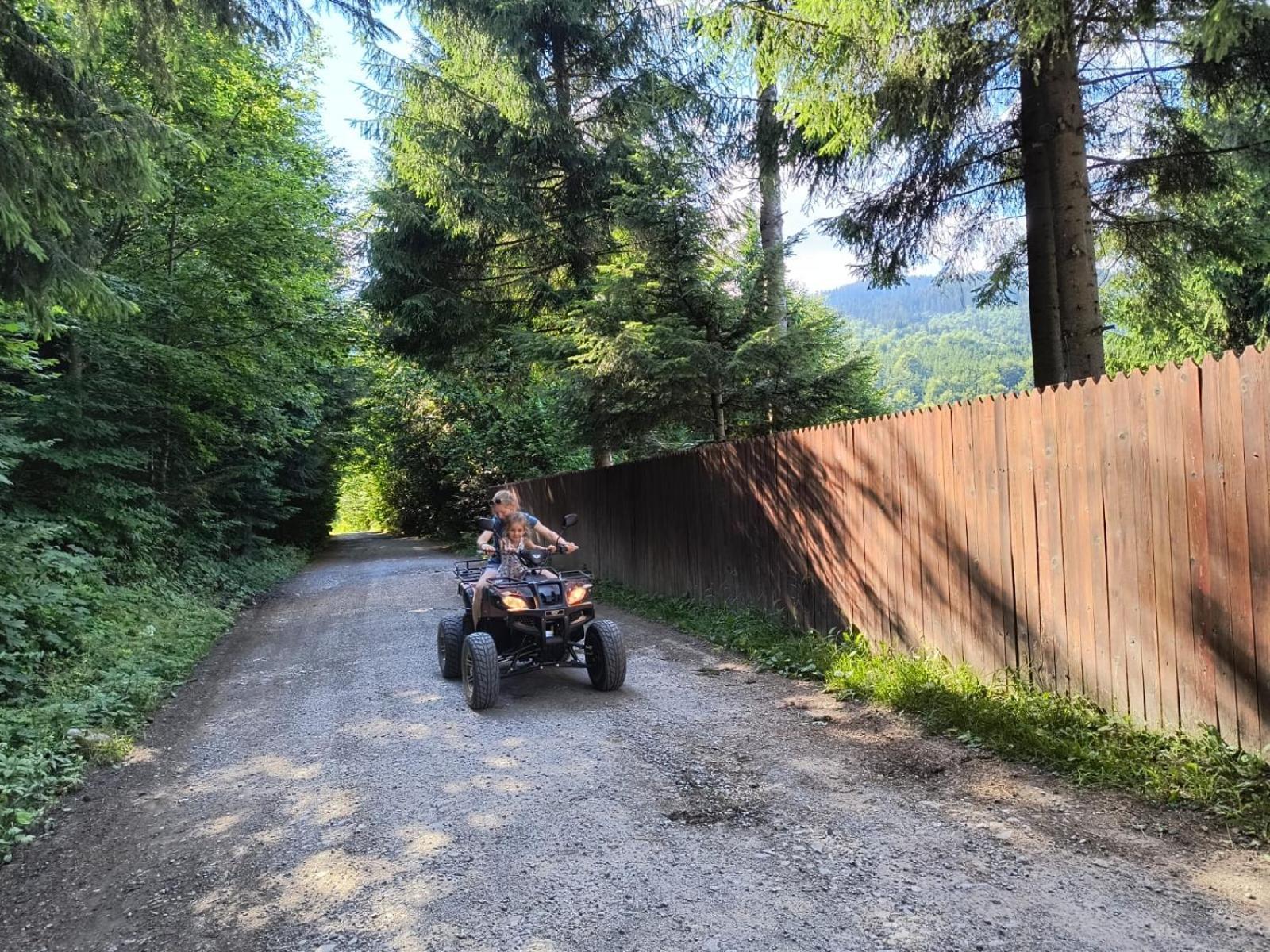 Vén Fenyő Kunyhó Ciceu Exterior foto